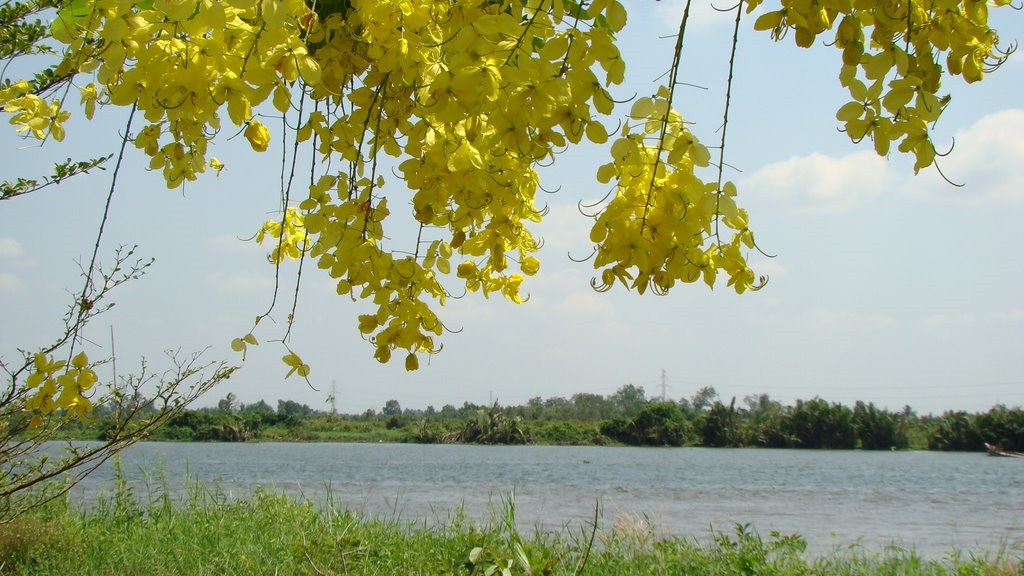 Thơ miền Nam trước 1975: Cái tôi hòa hoãn với cuộc đời